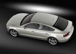 Audi A5 Sportback 3.0 TDI Quattro 2011 года (WW)